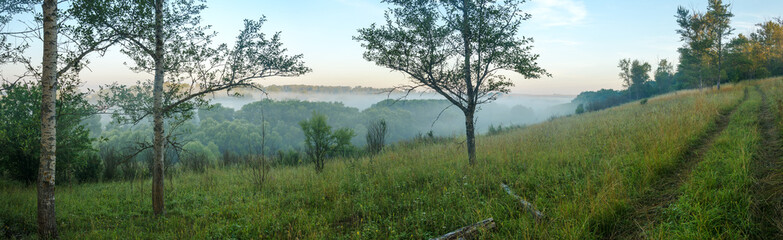 Serene summer panoramic landscape with green hills and trees in forest during foggy morning