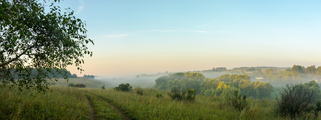 Serene summer panoramic landscape with green hills and trees in forest during foggy morning