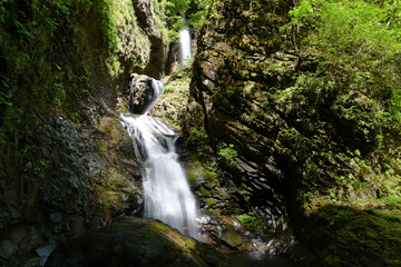 Beautiful waterfall in a green forest
