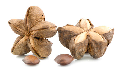 Nuts Incas , sacha inchi peanut seed an isolated on white background