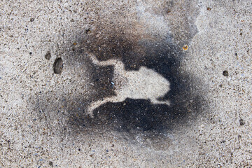 Frog pattern with black spray, close up texture on cement floor.