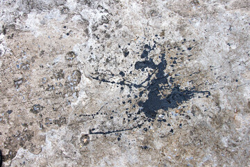 Gray Cement and Concrete texture on background.