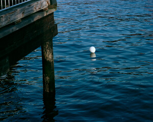 A white balloon floating in blue rippled water off a pier at the Puget Sound waterfront in Seattle Washington, 1988