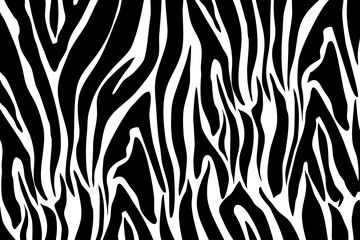 Fototapeta na wymiar Zebra Pattern Illustration