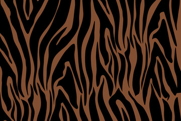 Zebra Pattern Illustration