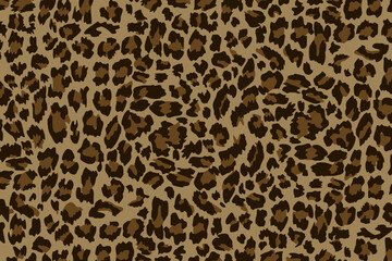 Leopard Patten Illustration