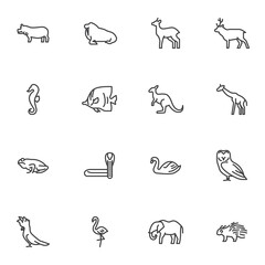 Animal line icons set