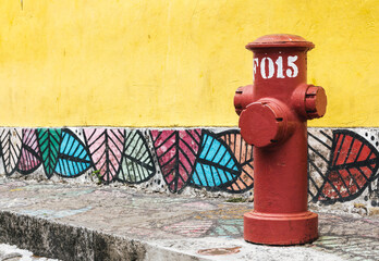 Obraz premium fire hydrant on the street