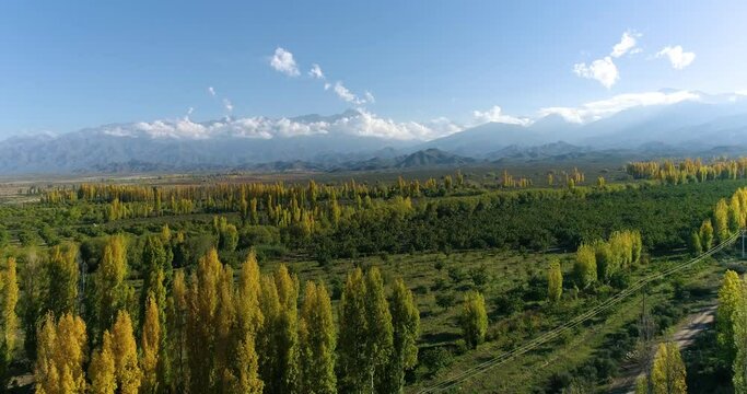Aerial view of plantations in a valley, in autumn at sunset 01. Slow Motion.