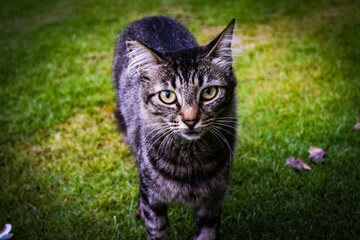 ハワイ島を満喫する。