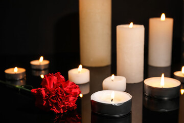 Burning candles and carnation flower on dark background
