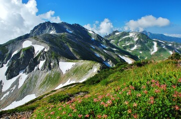 夏山トレッキング　立山アルパイン