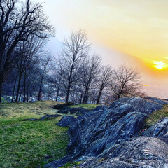 sunset in the forest