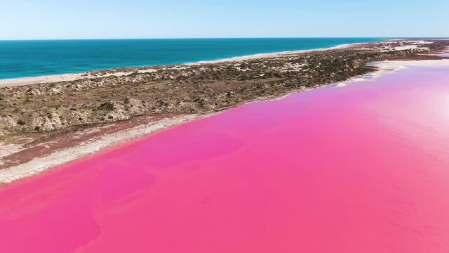 Aerial, Footage of Bright Pink Saltwater Lake. Western Australia Tourism, Travel