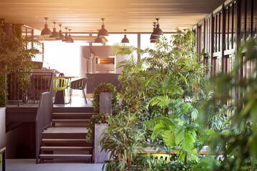 Restaurant in a modern style with green plants. Ecology design.