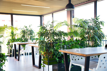 Restaurant in a modern style with green plants. Ecology design.
