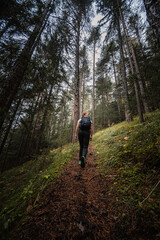 Mountain landscape. Misty forest. Natural outdoor travel background. Slovakia, Low Tatras, Demenovska hora and dolina vyvierania. Liptov travel. © Zedspider