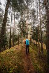 Mountain landscape. Misty forest. Natural outdoor travel background. Slovakia, Low Tatras, Demenovska hora and dolina vyvierania. Liptov travel. © Zedspider