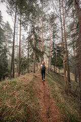 Mountain landscape. Misty forest. Natural outdoor travel background. Slovakia, Low Tatras, Demenovska hora and dolina vyvierania. Liptov travel. © Zedspider