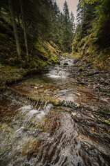 Mountain landscape. Misty forest. Natural river stream. Slovakia, Low Tatras, Demenovska hora and dolina vyvierania. Liptov travel. © Zedspider