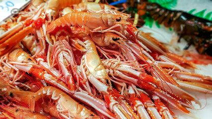 Fresh langoustines lying on ice for sale at the Boqueria market, Barcelona, Spain.