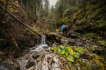 Mountain landscape. Misty forest. Natural river stream. Slovakia, Low Tatras, Demenovska hora and dolina vyvierania. Liptov travel. © Zedspider