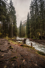 Mountain landscape. Misty forest. Natural river stream. Slovakia, Low Tatras, Demenovska hora and dolina vyvierania. Liptov travel. © Zedspider