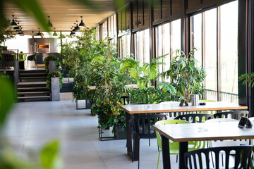Restaurant in a modern style with green plants. Ecology design.