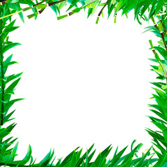 Vector floral frame with  fresh green grass leaves isolated on white background. Design elements in triangular low poly style.