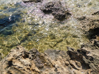 Volcanic coast and clear water. Protaras. Cyprus