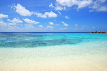 Fototapeta na wymiar Grande Anse beach in La Digue Island, Indian Ocean, Seychelles. Tropical travel destination.