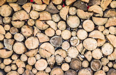 Pile of wood logs ready for winter