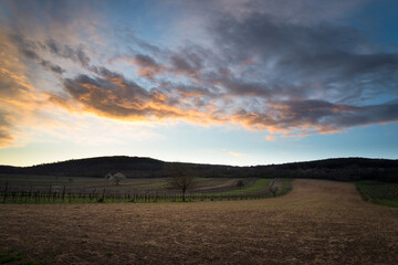 Fototapeta premium Dramatic sky after sunset with agricultural fields and vineyards in Burgenland