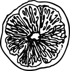 A hand-drawn circle of orange. Vector black and white illustration. Healthy food, vegetarian food.
