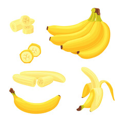 Colorful banana fruits flat pictures for web design. Cartoon exotic dessert as banana fruit isolated vector illustrations. Healthy food and tropical plants concept