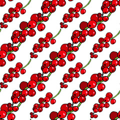 Seamless pattern with wonderful red currant on white background. Vector image.