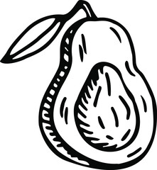 Avocado isolated on a white background. Hand-drawn black and white vector illustration. Healthy and healthy food.