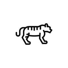 tiger animal vector line icon