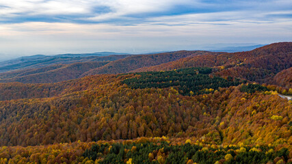 Beautiful autumnal landscape in the forest from hendek in Turkey