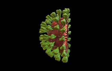 coronavirus type covid-19 affecting 3d illustration