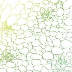 細胞風の模様黄緑_素材_正方形