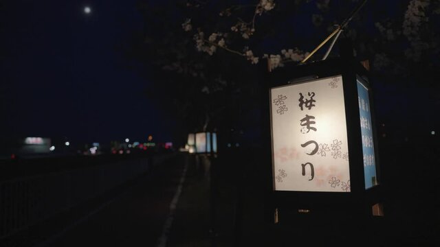 Japanese Lantern With Sakura Festival Written on it, Blowing at Night