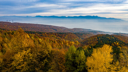 Fototapeta premium Beautiful autumnal landscape in the forest from hendek in Turkey
