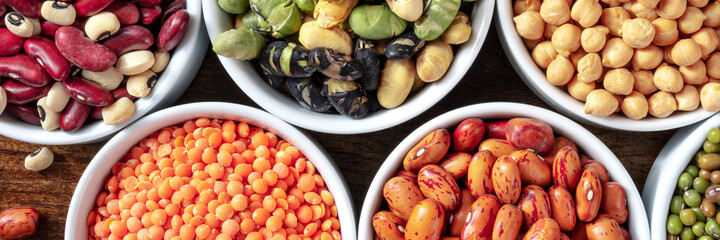Pulses panorama. A close-up of bowls of various legumes