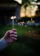 Foto scattata ad una mano di una ragazza che soffia su un tarassaco