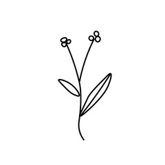 One simple vector flower with a black line.Botanical hand drawn illustration on isolated background.Vintage doodle style picture.Design for packaging, poster,social media,invitation,greeting card.