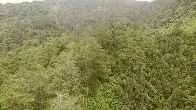 Aerial footage landscape view of nature rain forest from drone flying forward forward