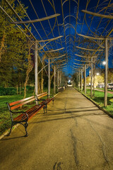 park in the city at night