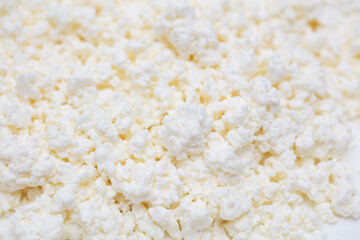 Fresh milk curd as background.