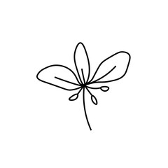 One simple vector flower with a black line.Botanical hand drawn illustration on isolated background.Vintage doodle style picture.Design for packaging, poster,social media,invitation,greeting card.